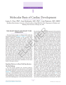 Chapter 1 - Molecular Basis of Cardiac - SciTech Connect