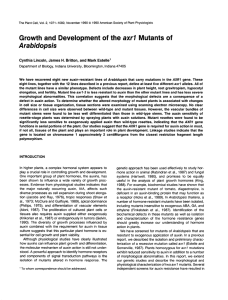 Growth and Development of the axrl Mutants of Arabidopsis