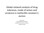 Global network analysis of drug tolerance, mode of action and