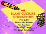 Plant Bioreactor Design
