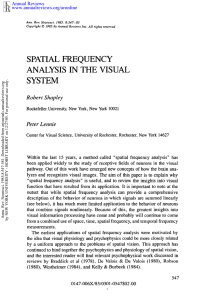 Spatial Frequency Analysis in the Visual System