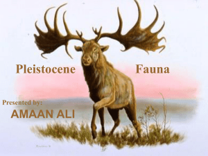 Pleistocene fauna (Zoogeography and Plaeontology).