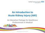 An Introduction to Acute Kidney Injury (AKI)