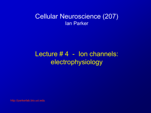 Cellular Neuroscience (207) Ian Parker