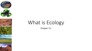 What is Ecology