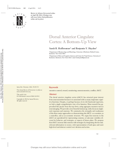 Dorsal Anterior Cingulate Cortex: A Bottom-Up View