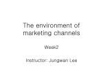 The environment of marketing channels