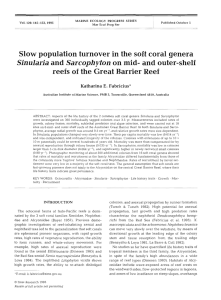 Slow population turnover in the soft coral genera