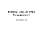 Microbial Diseases of the Nervous System