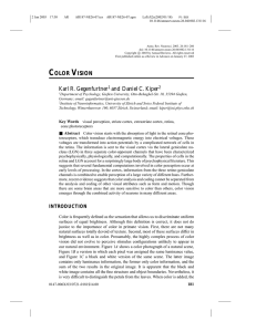 color vision - UCSD Psychology