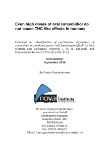 Even high doses of oral cannabidiol do not cause THC