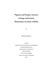 Pigeons and People: resource ecology and human dimensions of