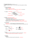 Bacteria Notes Pre AP Teacher 14-15