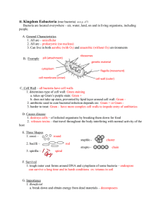 Bacteria Notes Pre AP Teacher 14-15