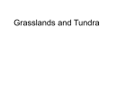 Grasslands and Tundra
