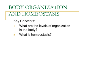 BODY ORGANIZATION AND HOMEOSTASIS