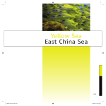Yellow Sea East China Sea - North Pacific Marine Science