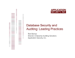 Database Security and Auditing: Leading Practices