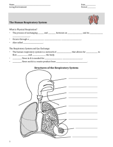 Physical Respiration Notes SI