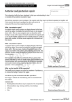 Anterior And Posterior Repair Consent CHA3313