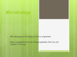 Microbiology 1 - manorhousehomeeconomics