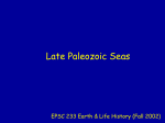 Late Paleozoic Seas