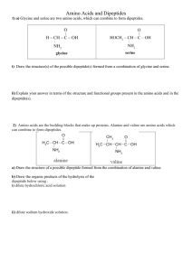 Amino Acids and Dipeptides - Chemical Minds