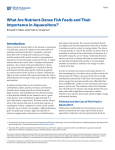 What Are Nutrient-Dense Fish Feeds and Their Importance in