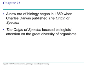 video slide - Mrs. Favata Biology