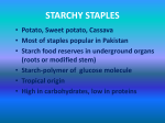 starchy staples - muhammad1988adeel