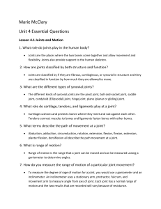 Unit Four Essential Questions