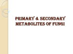 primary and secondary metabolites in fungi File
