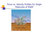 Force vs. Velocity Profiles for Single Molecules of RNAP