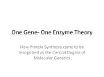 One Gene- One Enzyme Theory 2016 EHSS 920KB Feb 17