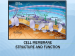 Cell Membranes