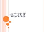 SYNTHESIS OF HEMOGLOBIN