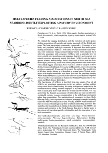 MULTI-SPECIES FEEDING ASSOCIATIONS IN NORTH SEA