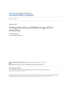 Feeding Selectivity and Habitat Usage of Esox americanus