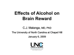 The Effect of Alcohol on Brain Reward