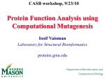 Computational Geometry of Molecular Structure