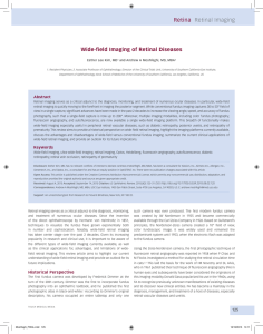 Retina Retinal Imaging