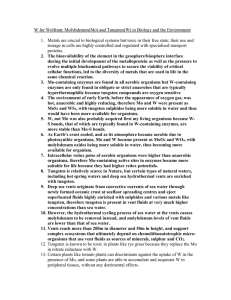 W for Wolfram: Molybdenum(Mo) and Tungsten(W) in Biology and