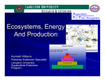 Ecosystems, Energy And Production