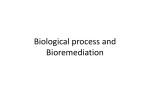 Biological process and Bioremediation