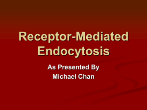 Receptor Mediated Endocytosis