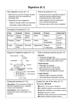 6.1: Digestion