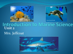 Introduction to Marine Science