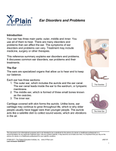 Ear Disorders and Problems - Patient Education Institute