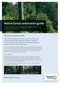 Native Forest Restoration Guide