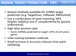 mirna target prediction